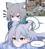 4356456