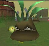 Killerplant