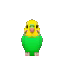 sound budgie idle