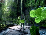 Stellar Green