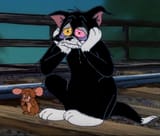 FRIENDandjerry
