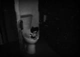 spamtontoilet3