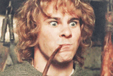 merry-pippin