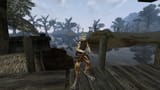 Morrowind 2025-06-13 02.07.16.030_1