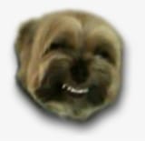 fagdog