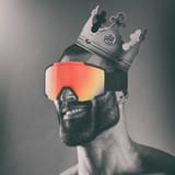 boiga king