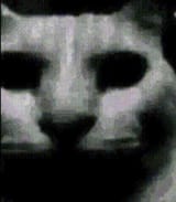 1742243640353873