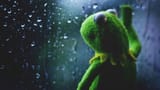kermit