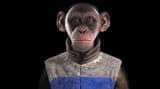 monke