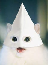 1000001233