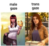Male Gaze VS Trans Gaze