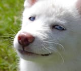 1604282648713