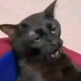 1746666718863559
