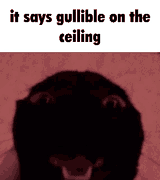 1749170408076989
