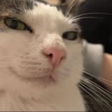 1727813662342248