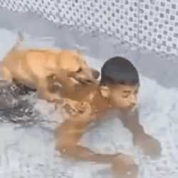 byuntear-dog_thumb.jpg