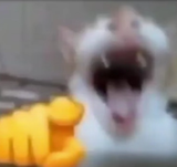 1723556267632001