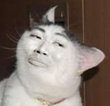 1328125886897