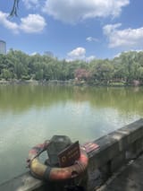 IMG_6744