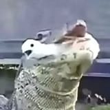 1749838287500