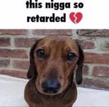 1749336620371240