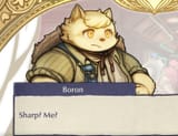 boron sharp