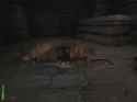catacombs_thumb.jpg