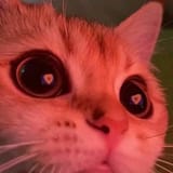 1705517047230209