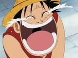 luffylaughsatdragontards
