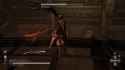 tachyfall_thumb.jpg