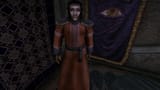 Morrowind 2025-06-13 23.11.09.468