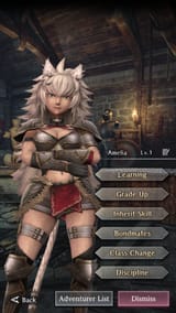 CC amelia fighter