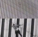 ninelevendab