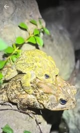 IMG_20250612_182503