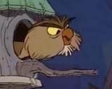 whoooo