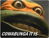 cowabunga-it-is-740x568