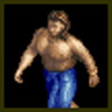 Villager