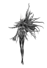 Four_Kings_Model