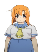 rena xl