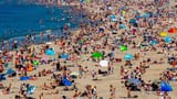 the beach