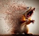 ratatomized