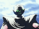 piccolo