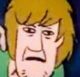 Shaggy