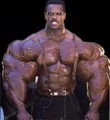 NIGGA THE GORILLA
