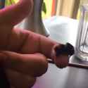 The bee&#039;s knees_thumb.jpg