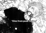 fr-fr-dies-from-peak
