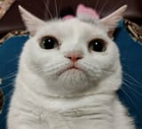 1746769561922481