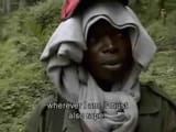 rape