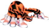 Donkey kong spider