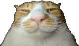 1722578621037412